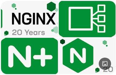 nginx 代理 alist